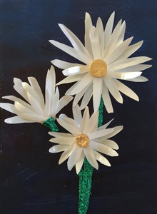 Chris D, Daisies, recycled milk bottles.jpg